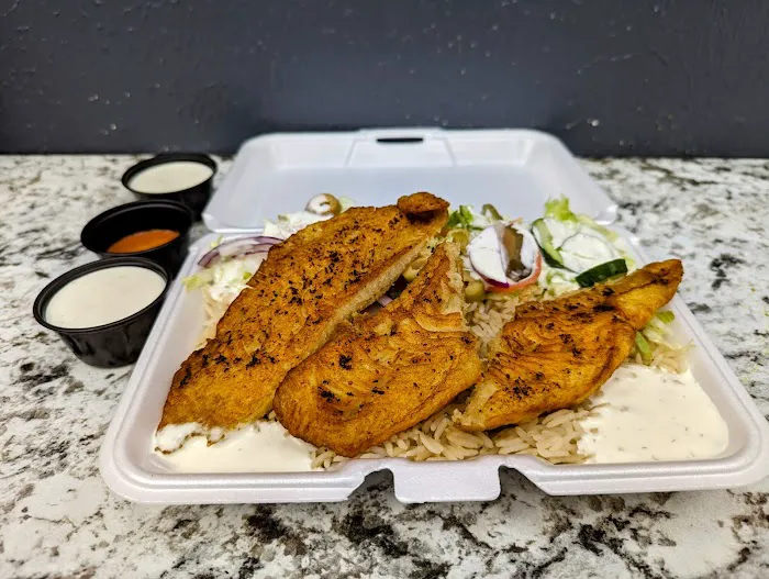 NYC STYLE GYRO Picture 4