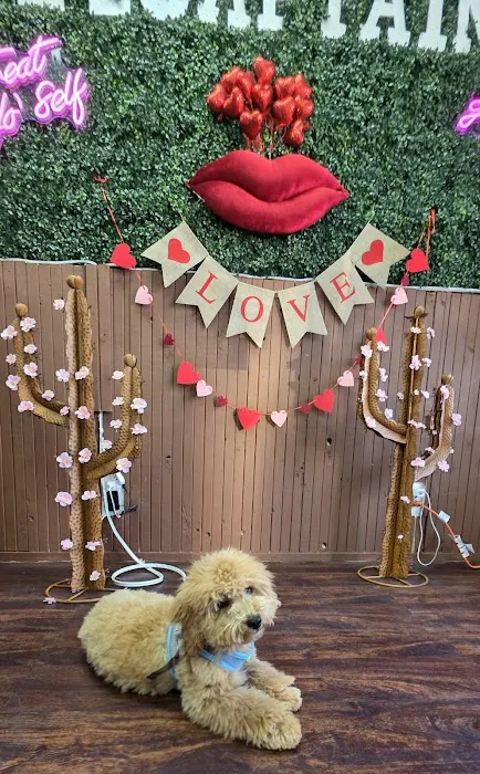 El Captain waffles & crepes Picture 4