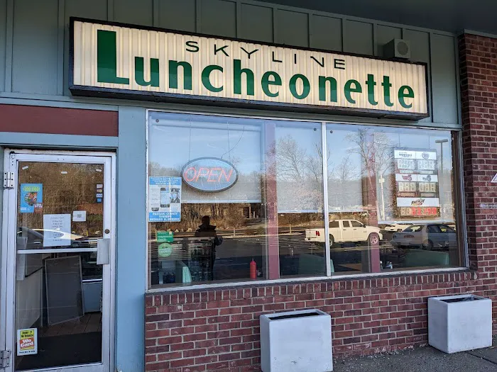 Skyline Luncheonette Picture 10