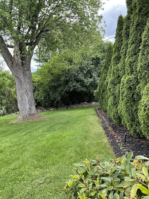 Pasta Della Nonna Picture 6