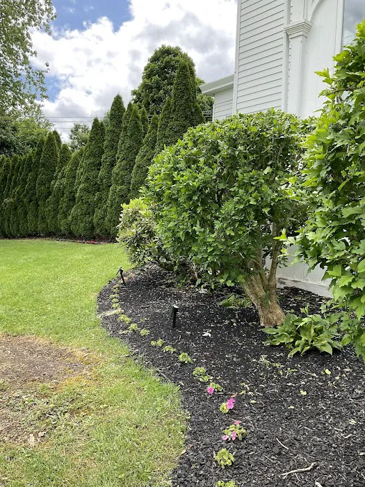 Pasta Della Nonna Picture 3