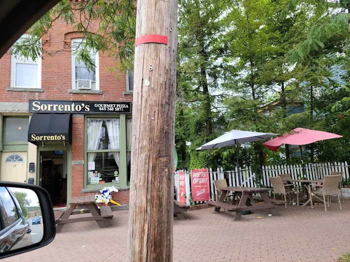 Sorrento Gourmet Pizza Picture 8