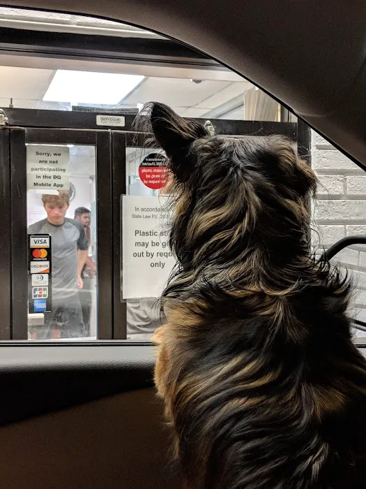 Dairy Queen Picture 9