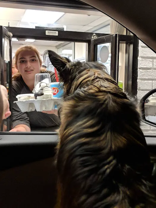 Dairy Queen Picture 7