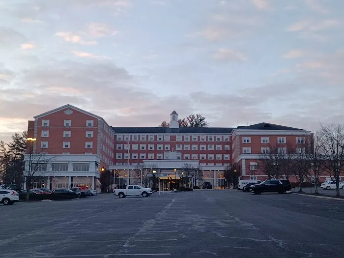 Blue Morel Restaurant and Wine Bar Picture 6