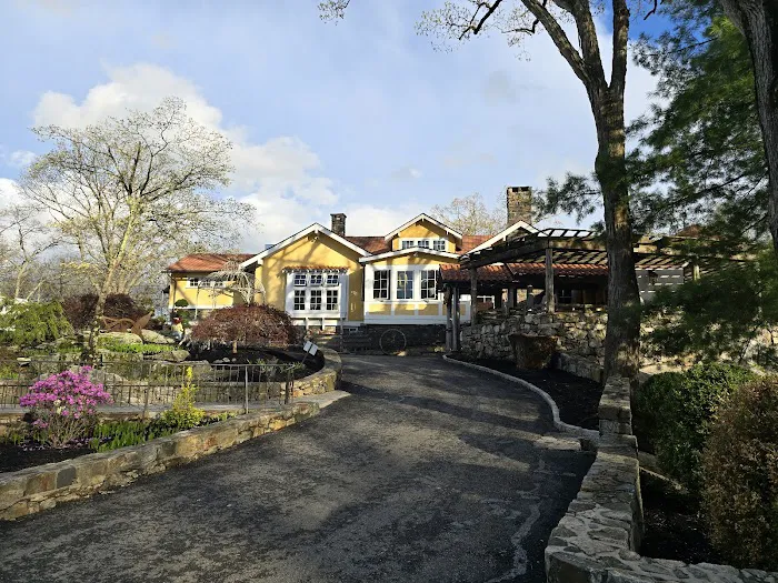 Las Mañanitas Picture 10