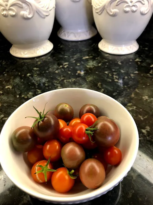 The Arch Restaurant Picture 2