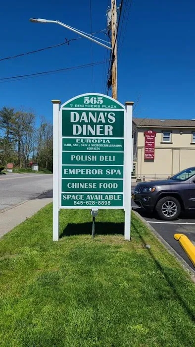 Dana's Diner Picture 9