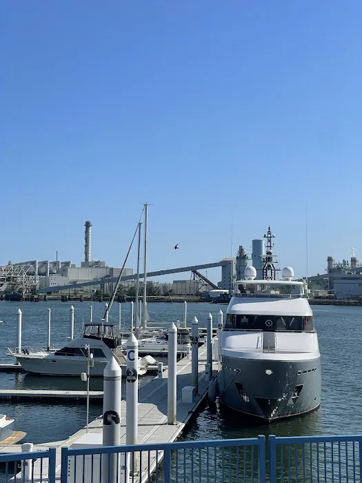 Boca Grille and Raw Bar Picture 7