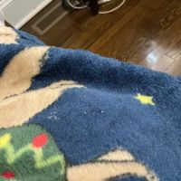 Garden Soul Restaurant ico