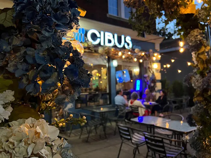 Cibus Latin Fusion Picture 7