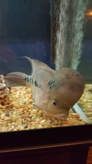 Kama Sushi Picture 1