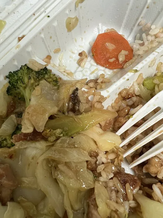 Sakura Japan Picture 3