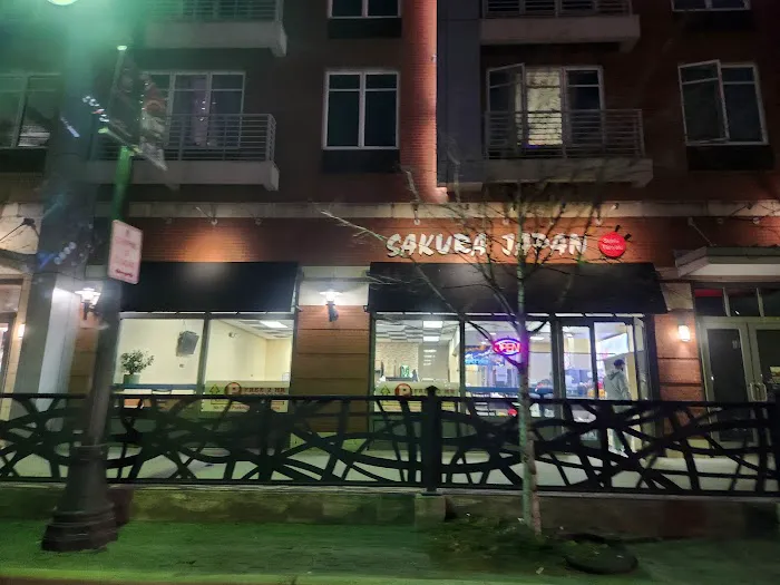 Sakura Japan Picture 1