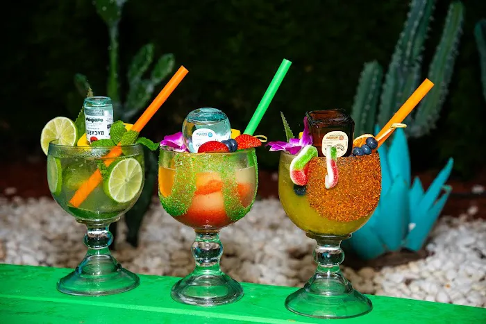 Spicy Burro Taqueria Bar Picture 4