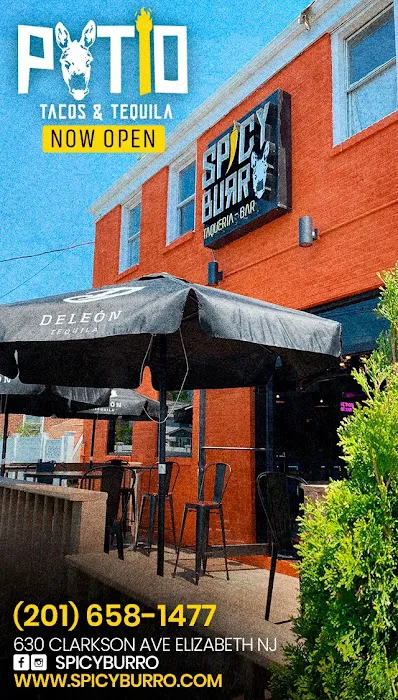 Spicy Burro Taqueria Bar Picture 2