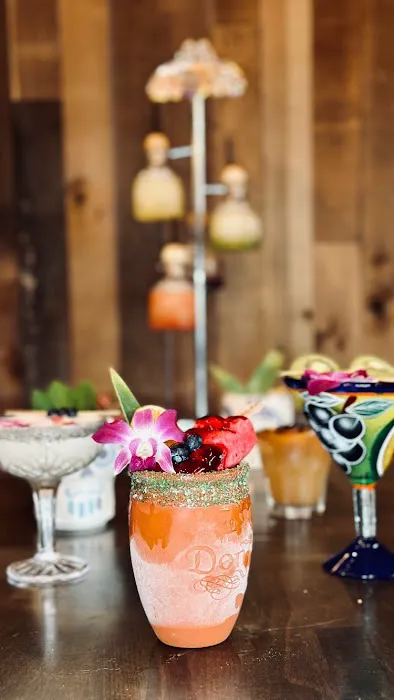 Spicy Burro Taqueria Bar Picture 9