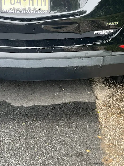 Mama Bear Treatz Picture 1