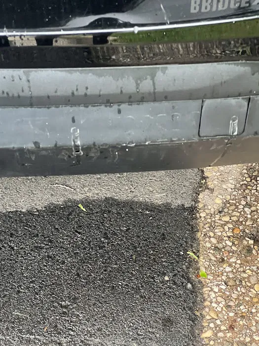 Mama Bear Treatz Picture 2