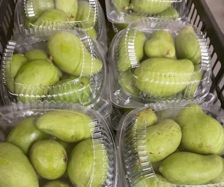 Kylie's Restaurant & Bakery