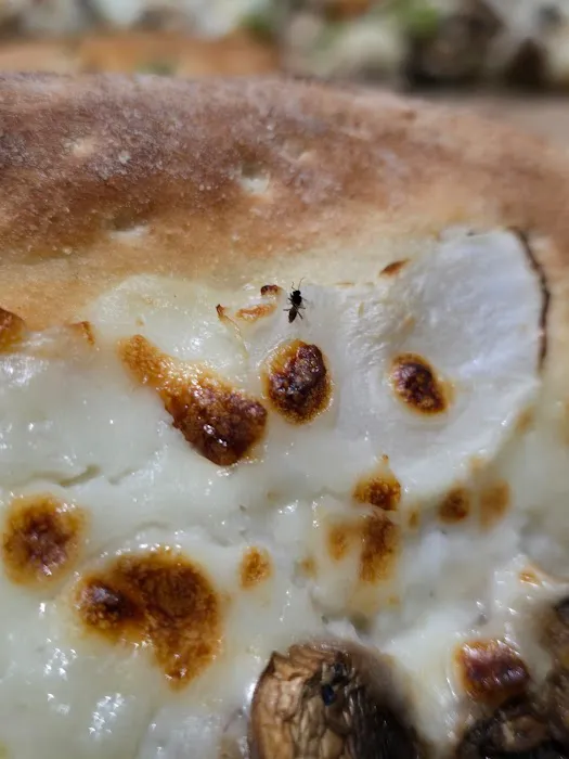 Papa Johns Pizza Picture 8