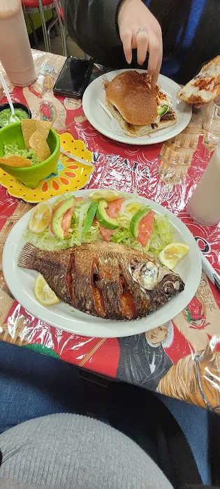 Torres Mexican Restaurant Picture 8