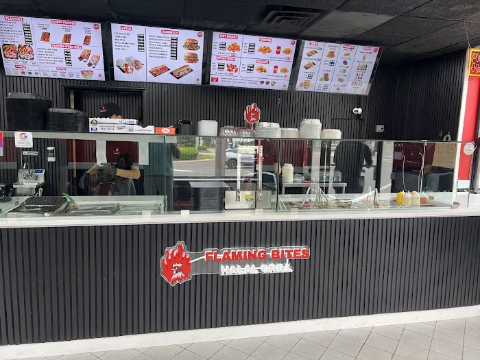 Flaming Bites Halal Grill Picture 6