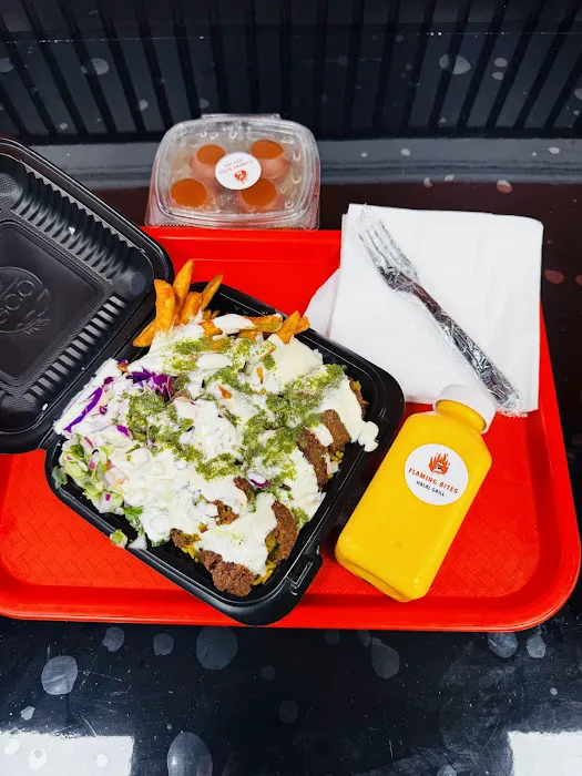 Flaming Bites Halal Grill Picture 3