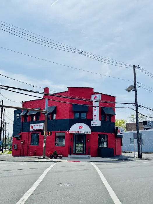 Flaming Bites Halal Grill Picture 2