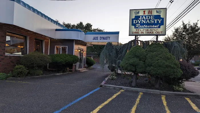 Jade Dynasty Picture 10