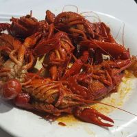 Hibachi Grill & Supreme Buffet ico