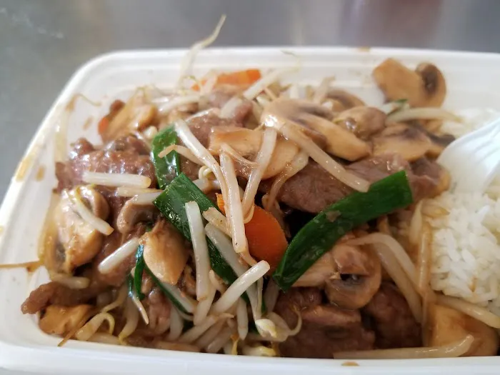 China Garden Picture 2