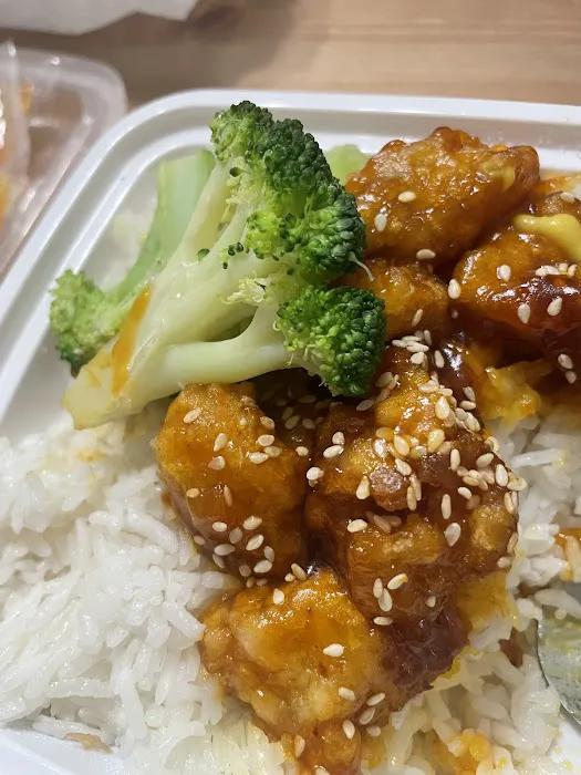 China Garden Picture 9