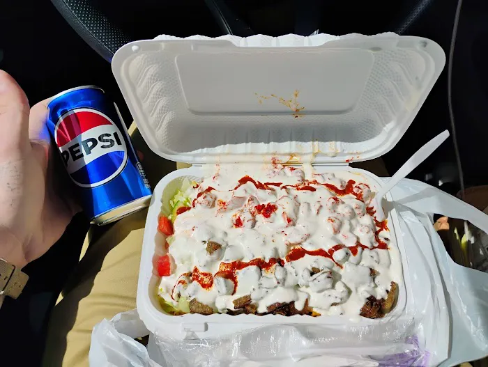 Halal house Picture 8