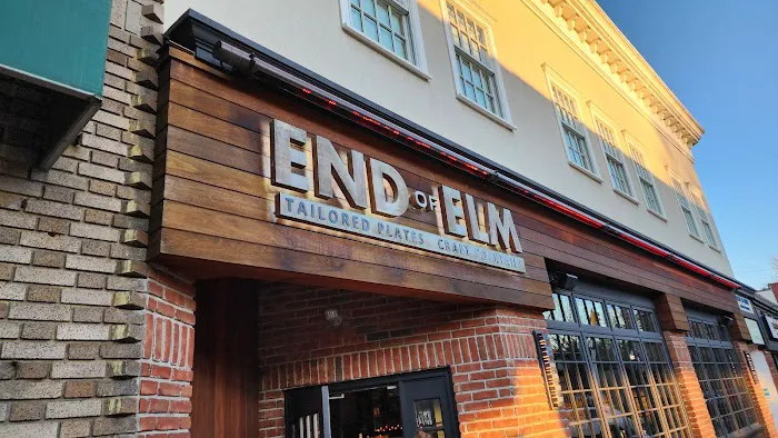 End of Elm Picture 10