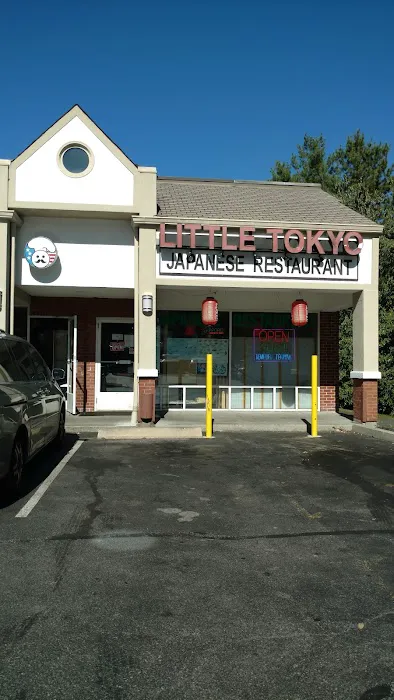 Little Tokyo Picture 8