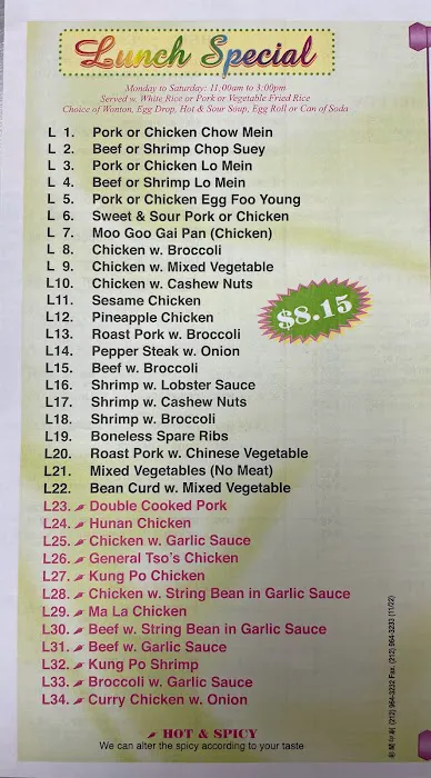 China Star Chinese Restaurant Picture 7