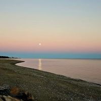 Riley's by The Seawa;; ico