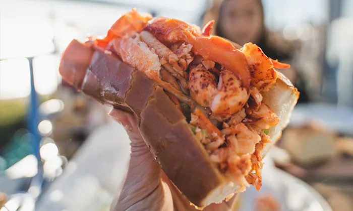 lordship lobster co Picture 4