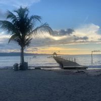 Golden Express Chinese Kitchen ico