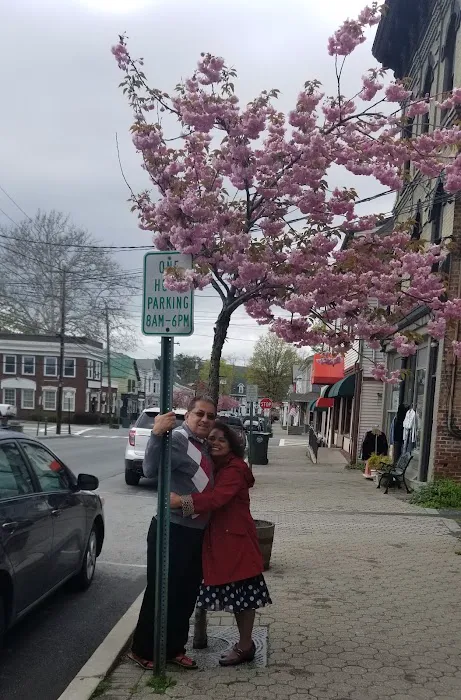 Dragon City Picture 7