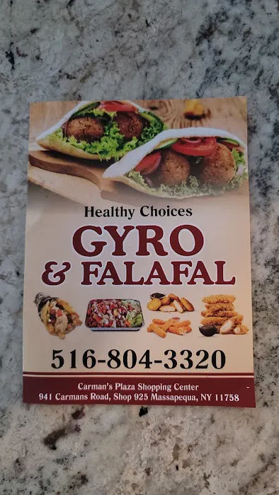 Healthy Choice Gyro Picture 2