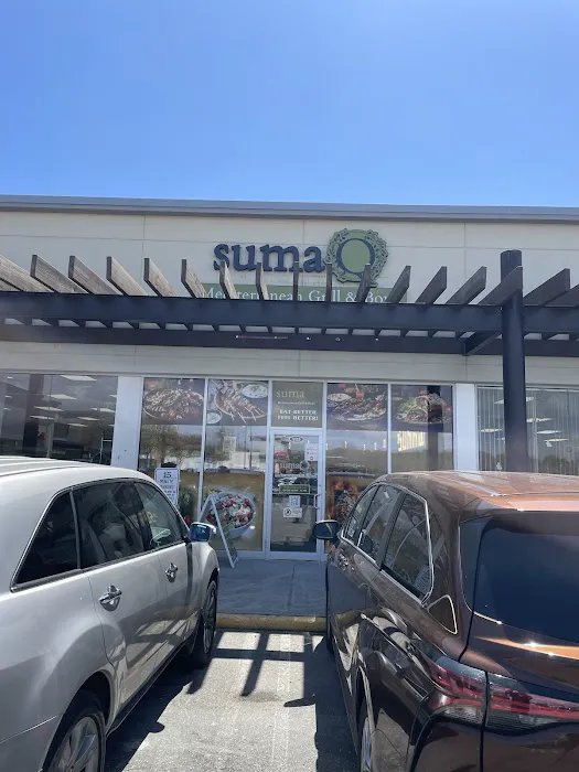 Healthy Choice Gyro Picture 4