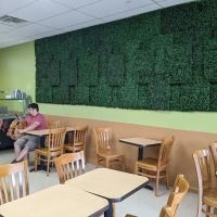 Healthy Choice Gyro ico