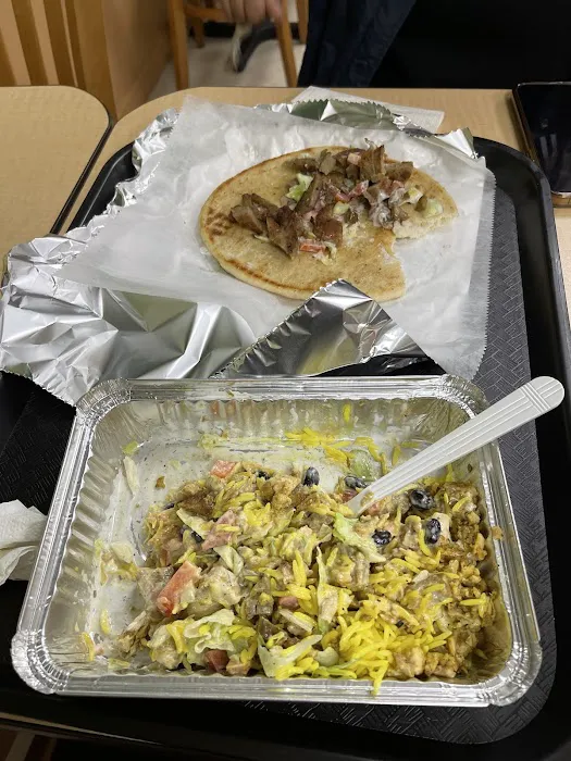 Healthy Choice Gyro Picture 3