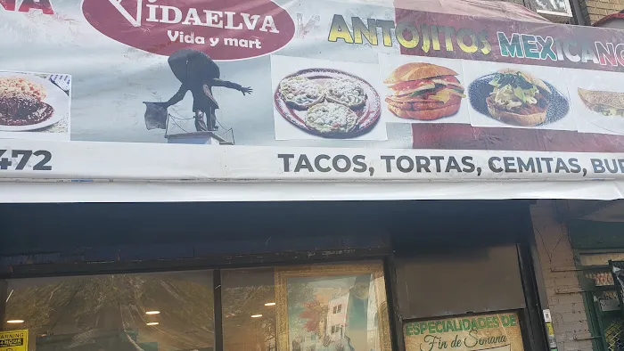 Vida Elva Corp Picture 6