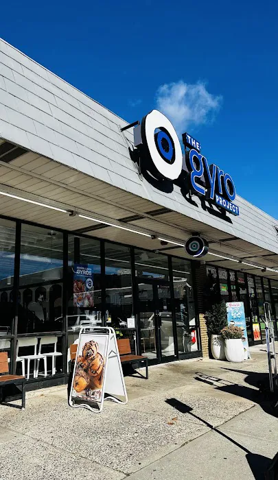The Gyro Project Picture 2