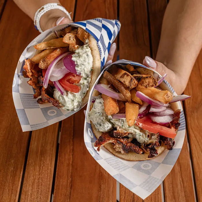 The Gyro Project Picture 5