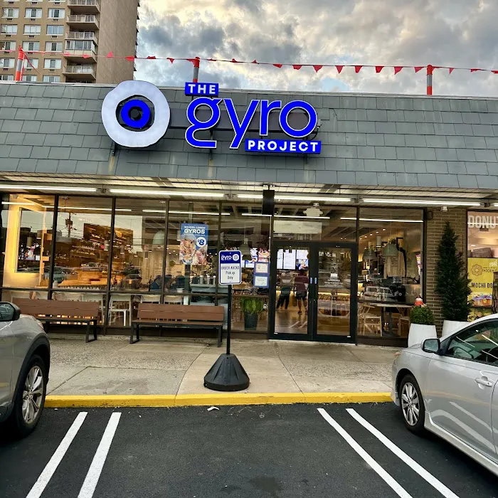 The Gyro Project Picture 8