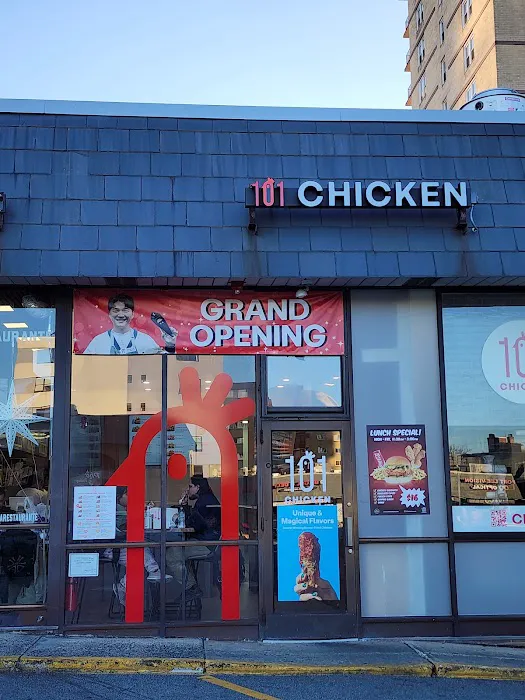 101 CHICKEN Picture 5